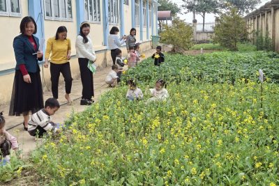 Dự giờ lớp A2, B2, B4 ngày 16.01.2026 (Mầm non Vũ Bản)